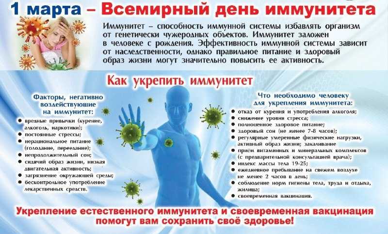 shr di news 833 1741084684