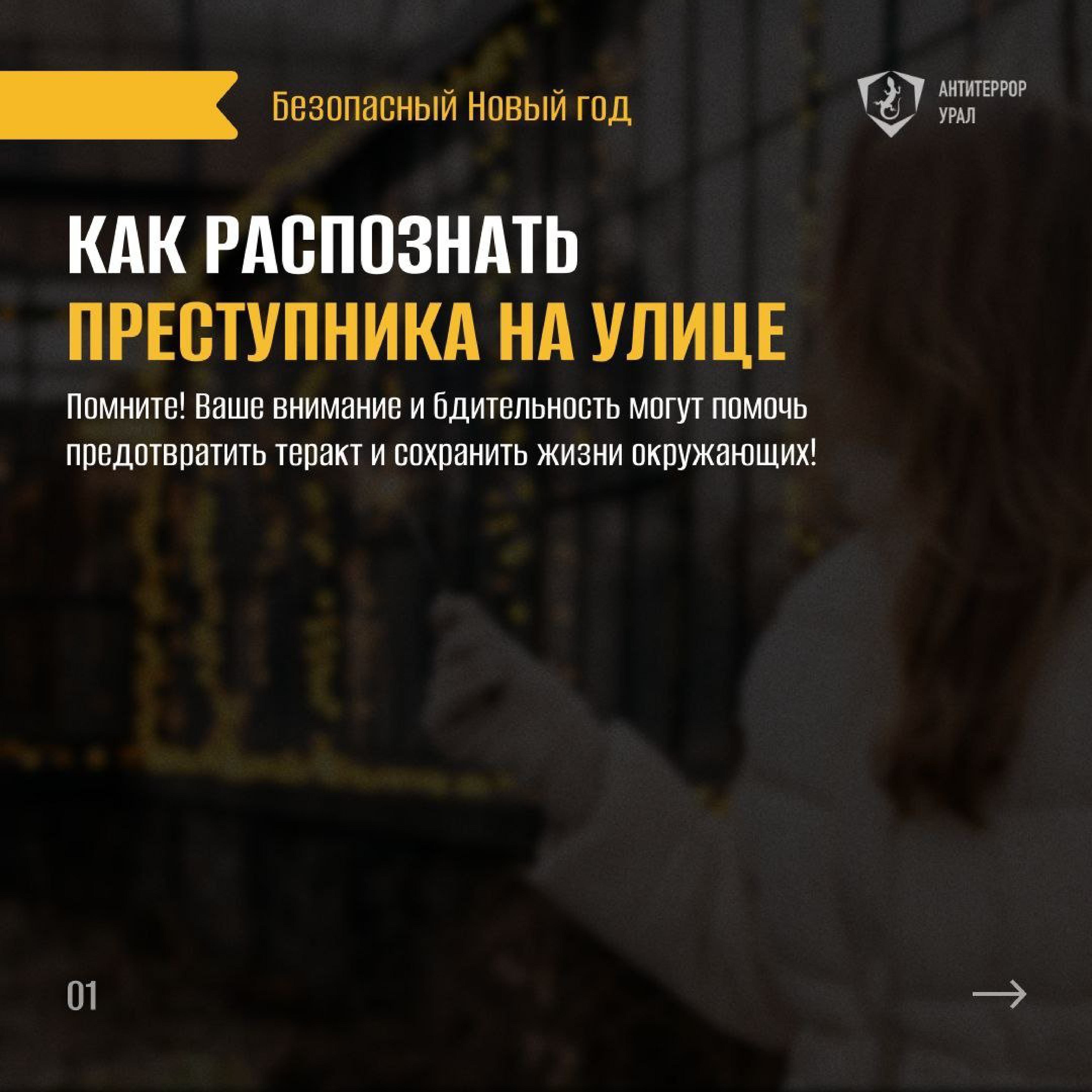 Памятки Безопасный новый год изображения 4