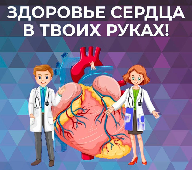 cardiovascular 03